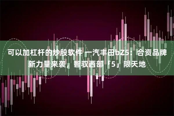 可以加杠杆的炒股软件 一汽丰田bZ5：合资品牌新力量来袭，智驭西部「5」限天地