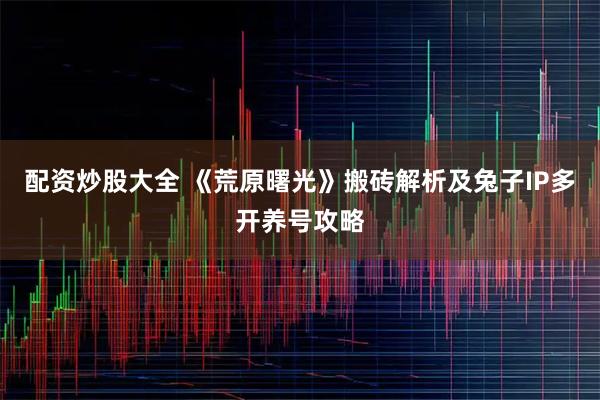 配资炒股大全 《荒原曙光》搬砖解析及兔子IP多开养号攻略