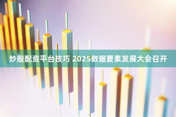 炒股配资平台技巧 2025数据要素发展大会召开