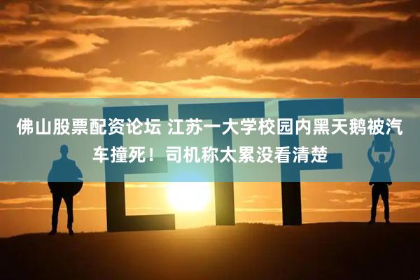 佛山股票配资论坛 江苏一大学校园内黑天鹅被汽车撞死！司机称太累没看清楚