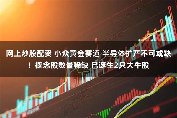 网上炒股配资 小众黄金赛道 半导体扩产不可或缺！概念股数量稀缺 已诞生2只大牛股