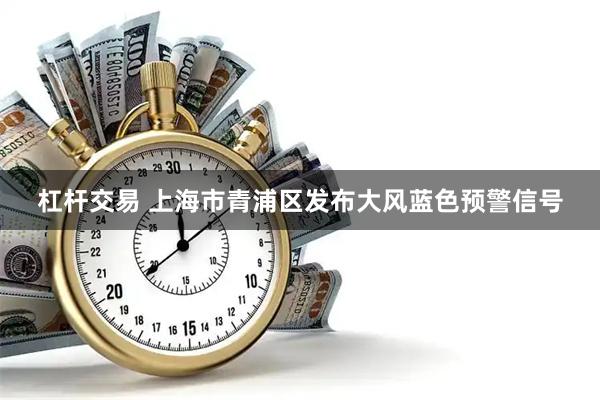 杠杆交易 上海市青浦区发布大风蓝色预警信号